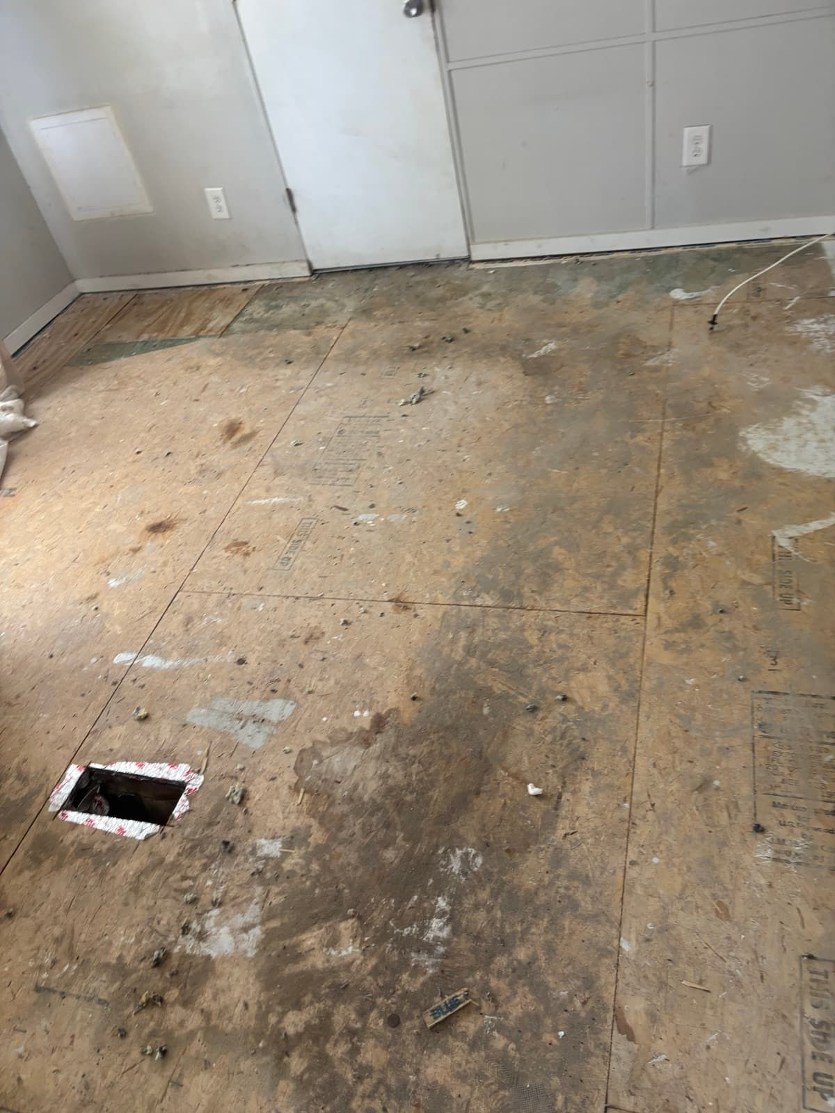 Carpet and padding pulled, down to the subfloor